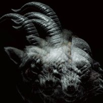 Beautiful Deformity The Gazette
