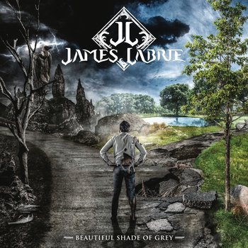 Beautiful Shade Of Grey, płyta winylowa - Labrie James