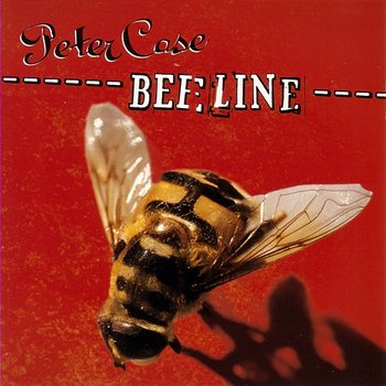 Beeline - Peter Case