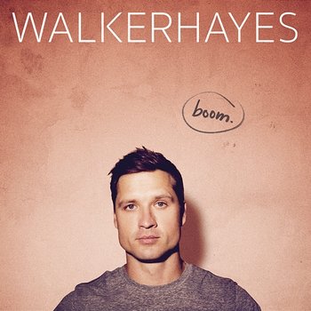 Beer in the Fridge - Walker Hayes