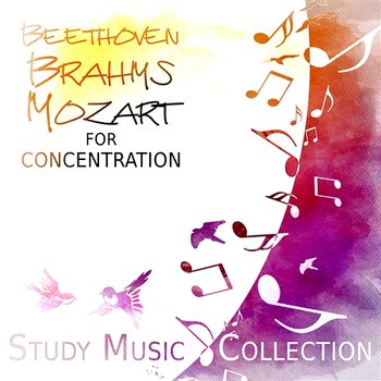Beethoven, Brahms, Mozart for Concentration – Study Music Collection, Classical Pieces to Focus, Effective Learning & Brain Training - Lucecita Medrano, Erazm Jahnke