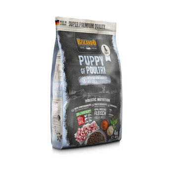 Belcando Puppy GF Poultry Sucha karma bezzbożowa dla szczeniąt do 4 miesiąca 4kg