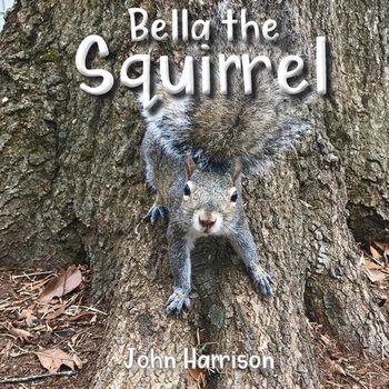 Bella the Squirrel - Harrison John