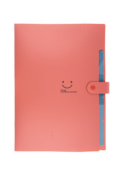 Beniamin, Plastikowa Teczka Z Przegródkami, Czerwony, A4 - Beniamin