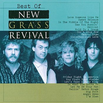 Best Of New Grass Revival - The New Grass Revival