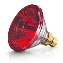 BEURER Żarówka 150W do lamp BEURER IL 21 / 35, żarówka zamienna Beurer