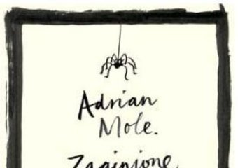 Adrian Mole i jego zaginione dzienniki