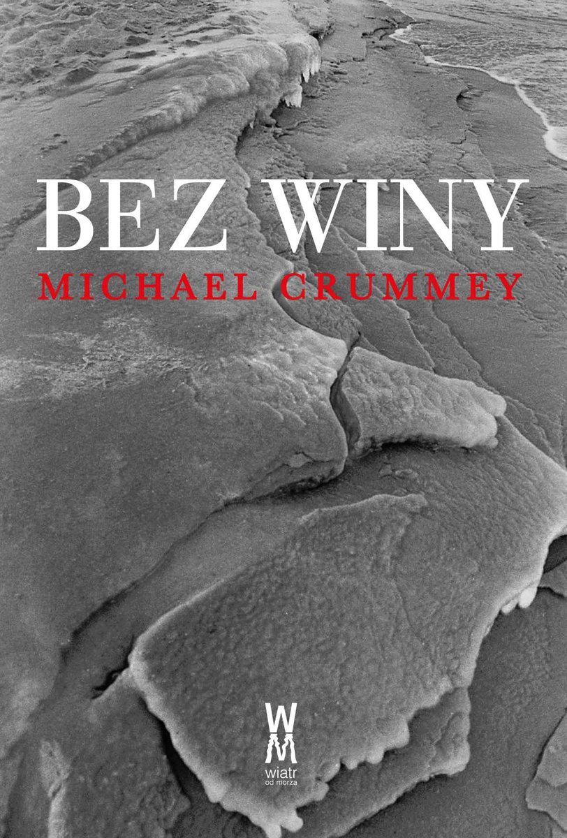 Bez winy - ebook epub