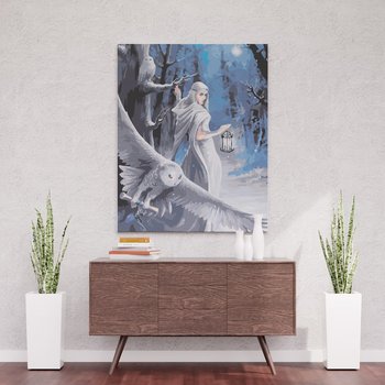 Biała dama i sowa - Malowanie po numerach 30x40 cm - ArtOnly