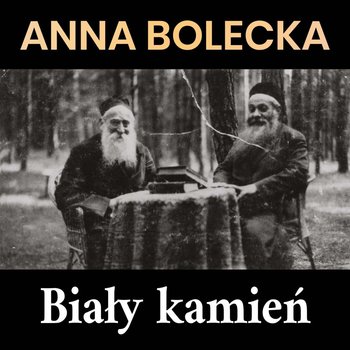Biały kamień - Bolecka Anna