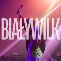 Biały wilk St. Elmo, Ivo