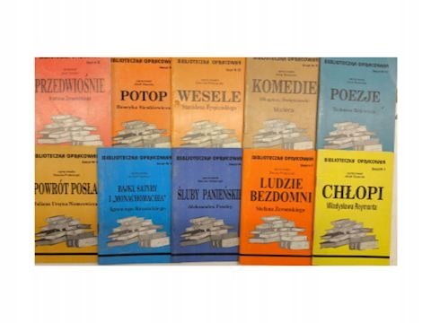 biblioteczka-opracowa-ch-opi-ludzie-bezdomni-luby-panie-skie