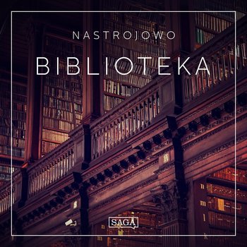 Biblioteka. Nastrojowo - Broe Rasmus