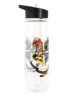 Bidon Harry Potter Herb Hogwartu butelka na wodę ze słomką 700 ml Pyramid Posters