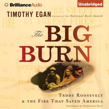 Big Burn - Egan Timothy