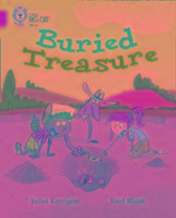 Big Cat - Buried Treasure - Blunt Fred, Kerrigan Juliet