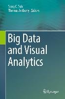 Big Data and Visual Analytics - Springer International Publishing ...