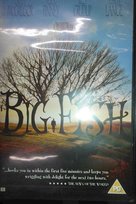 Big fish Agencja Artystyczna Antrakt