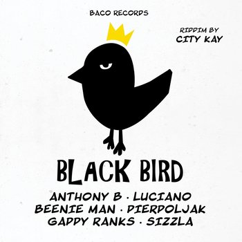 Big Slap & Black Bird Riddims By City Kay, płyta winylowa - Various Artists