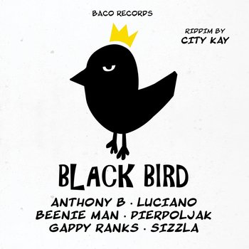Big Slap & Black Bird Riddims By City Kay - Various Artists