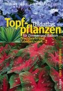 Bildatlas Topfpflanzen für Zimmer und Balkon Burki Moritz, Fuchs Marianne