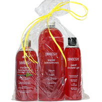 BINGOSPA, Zestaw Kosmetyków Borowinowa Pielęgnacja, 3 Szt.