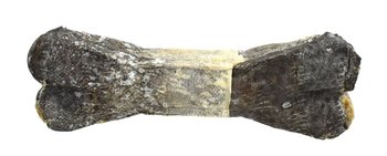 Biofeed Esp Cod Skin Bone Fish - Kość Ze Skórą Dorsza - BIOFEED