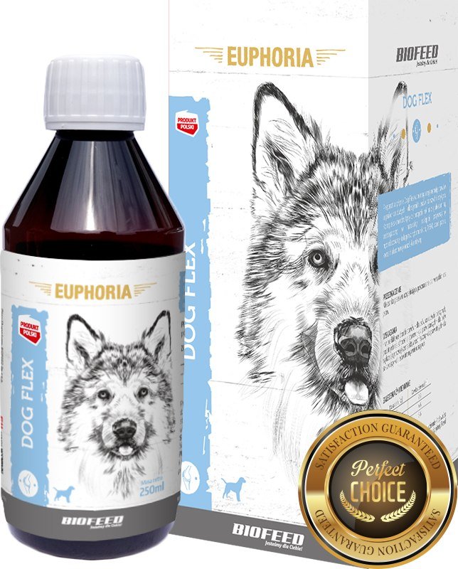 Фото - Ліки й вітаміни Biofeed Euphoria Dog Flex Preparat Na Stawy Dla Psa 250Ml 