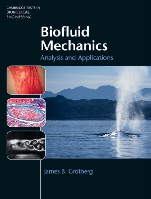 Biofluid Mechanics. Analysis And Applications - Opracowanie Zbiorowe ...