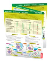 Biologia - maxi ściąga Opracowanie zbiorowe