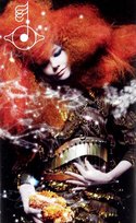 Biophilia Bjork