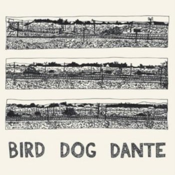 Bird Dog Dante, płyta winylowa - Parish John