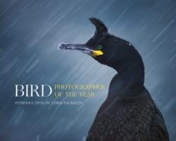 Bird Photographer of the Year - Bird Photographer Of The Year