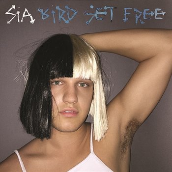 Bird Set Free - Sia