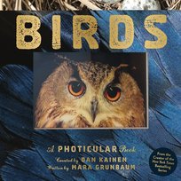 Birds: A Photicular Book Kainen Dan, Mara Grunbaum