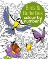 Birds & Butterflies Colour by Number - Storino Sara
