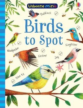 Birds to Spot - Robson Kirsteen
