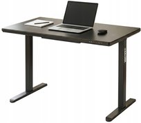 Biurko Elektryczne 120x60cm Regulacja Wysokości Ładowarka Szklany Blat