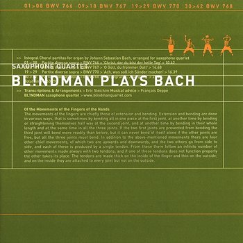 Bl!ndman Plays Bach - Bl!ndman