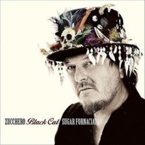 Black Cat Zucchero