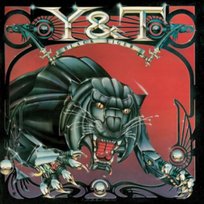 Black Tiger Y&T