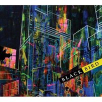 BlackBird Blackbird