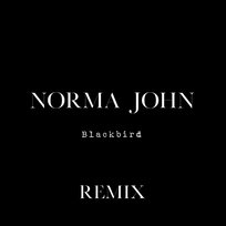 Blackbird Norma John