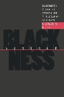 Blackness Visible - Mills Charles W.