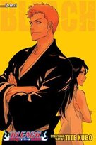 Bleach (2-in-1 Edition), Vol. 25 Kubo Tite