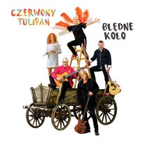 Błędne koło Czerwony Tulipan