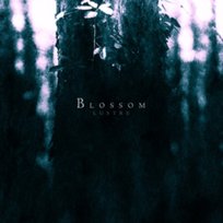 Blossom Lustre