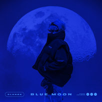 Blue Moon Sir Mich, PlanBe