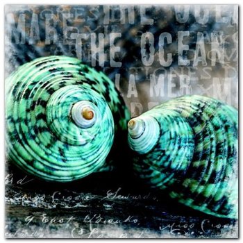 Blue Ocean Shells plakat obraz 50x50cm - Wizard+Genius