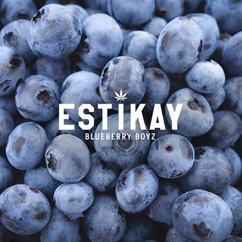 Blueberry Boyz - Estikay